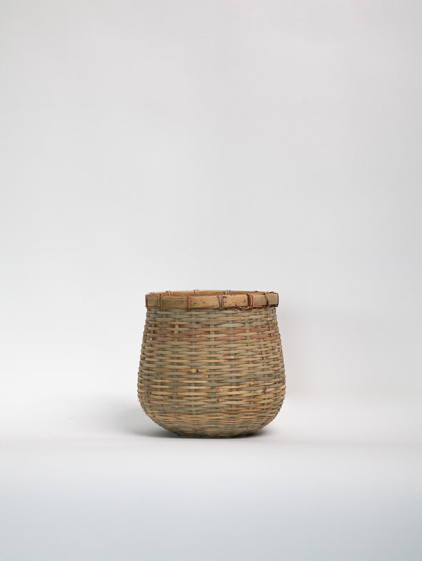 Bamboo